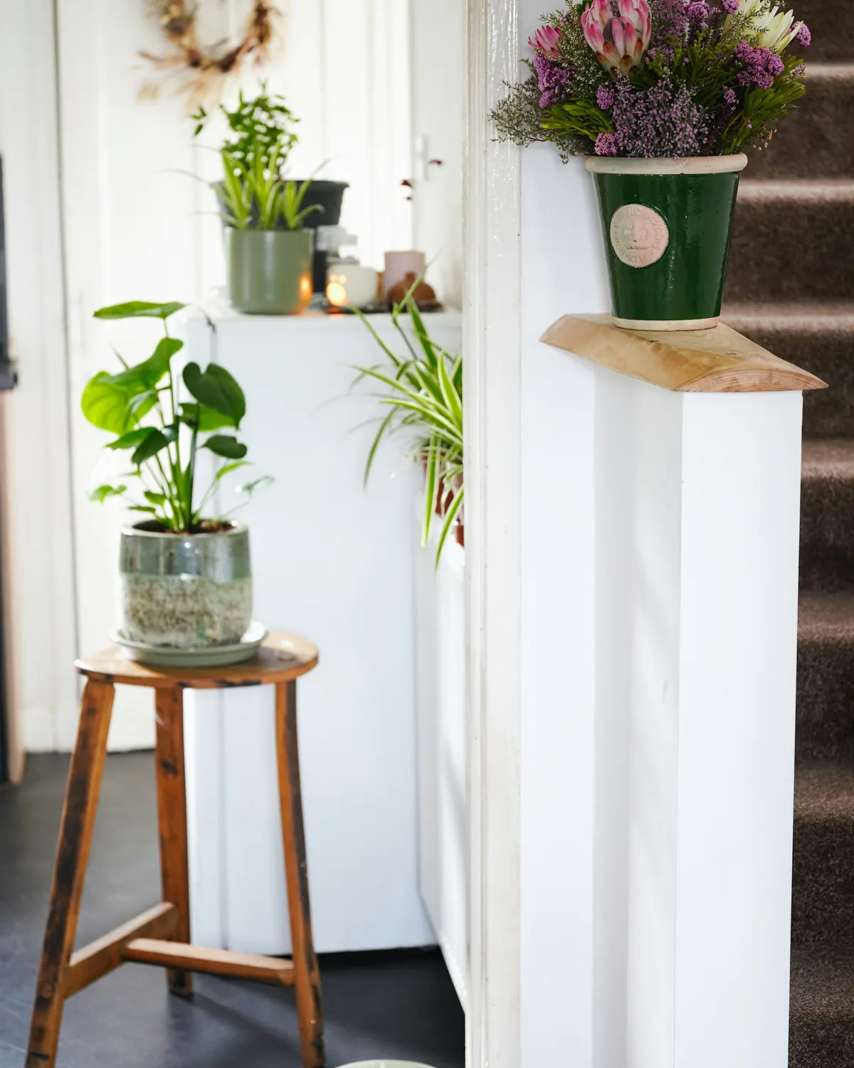 Leafy plants on a wooden stool by a white wall