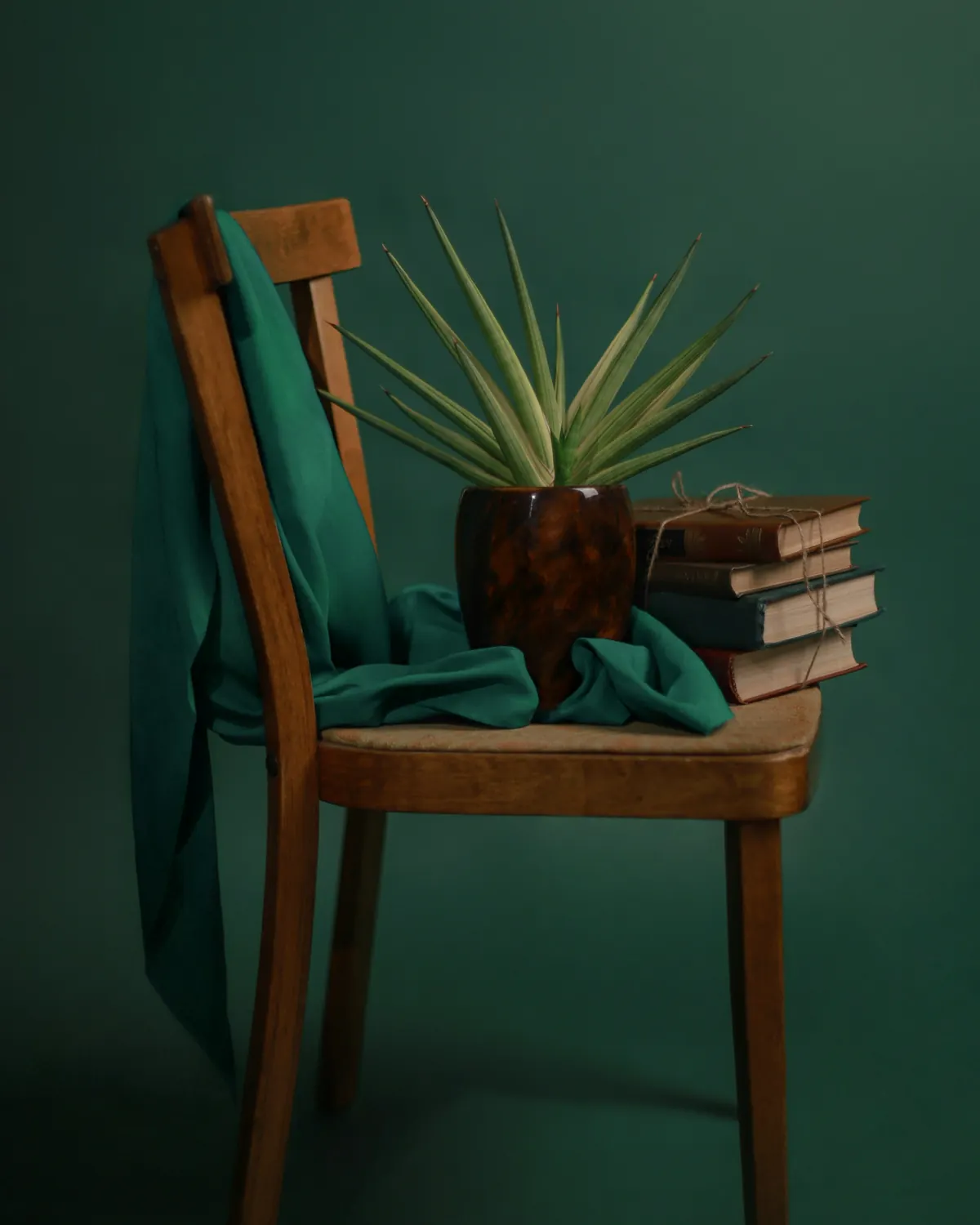 A wooden chair with books and a plant against a green wall