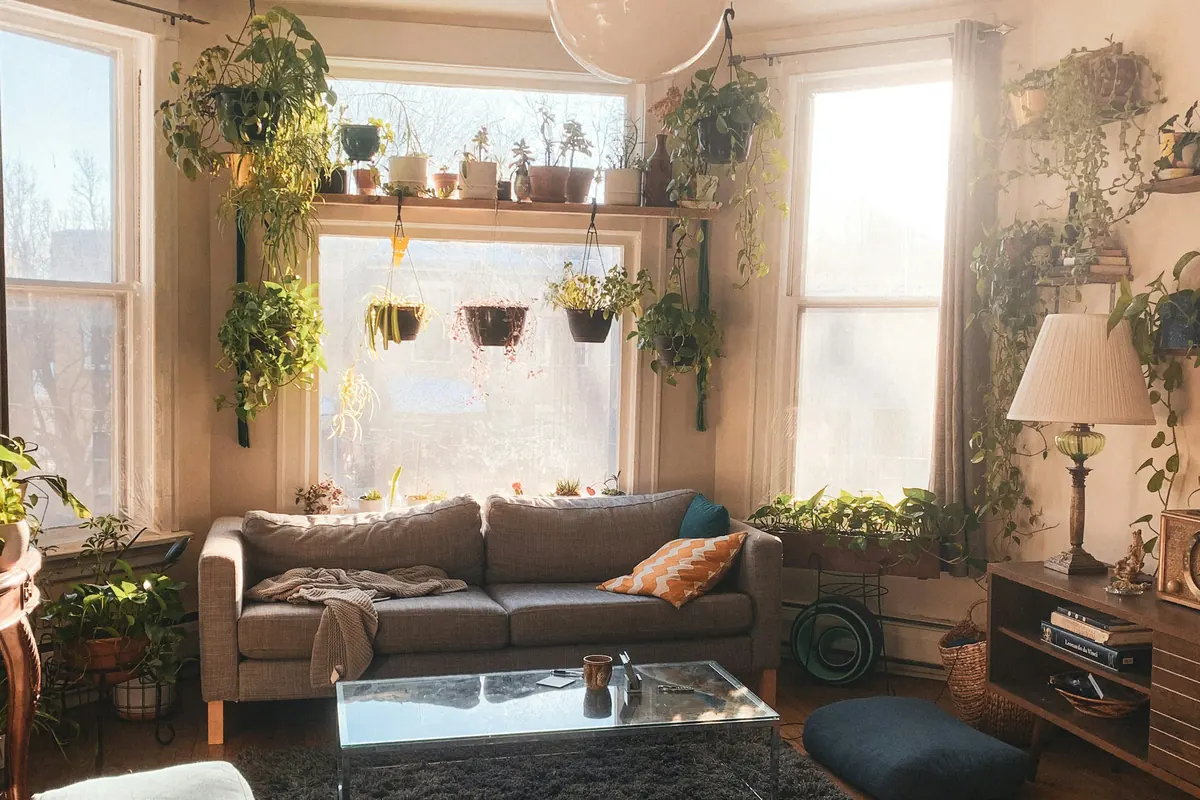 A small, sunlit living room full of plants and books