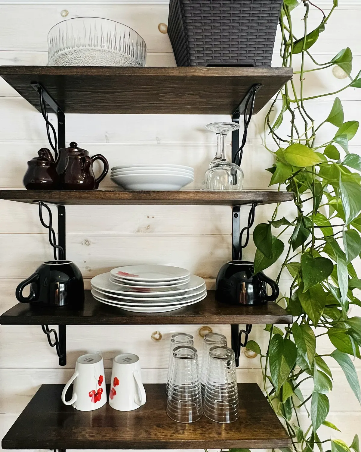 Open kitchen shelves with dishes and plants