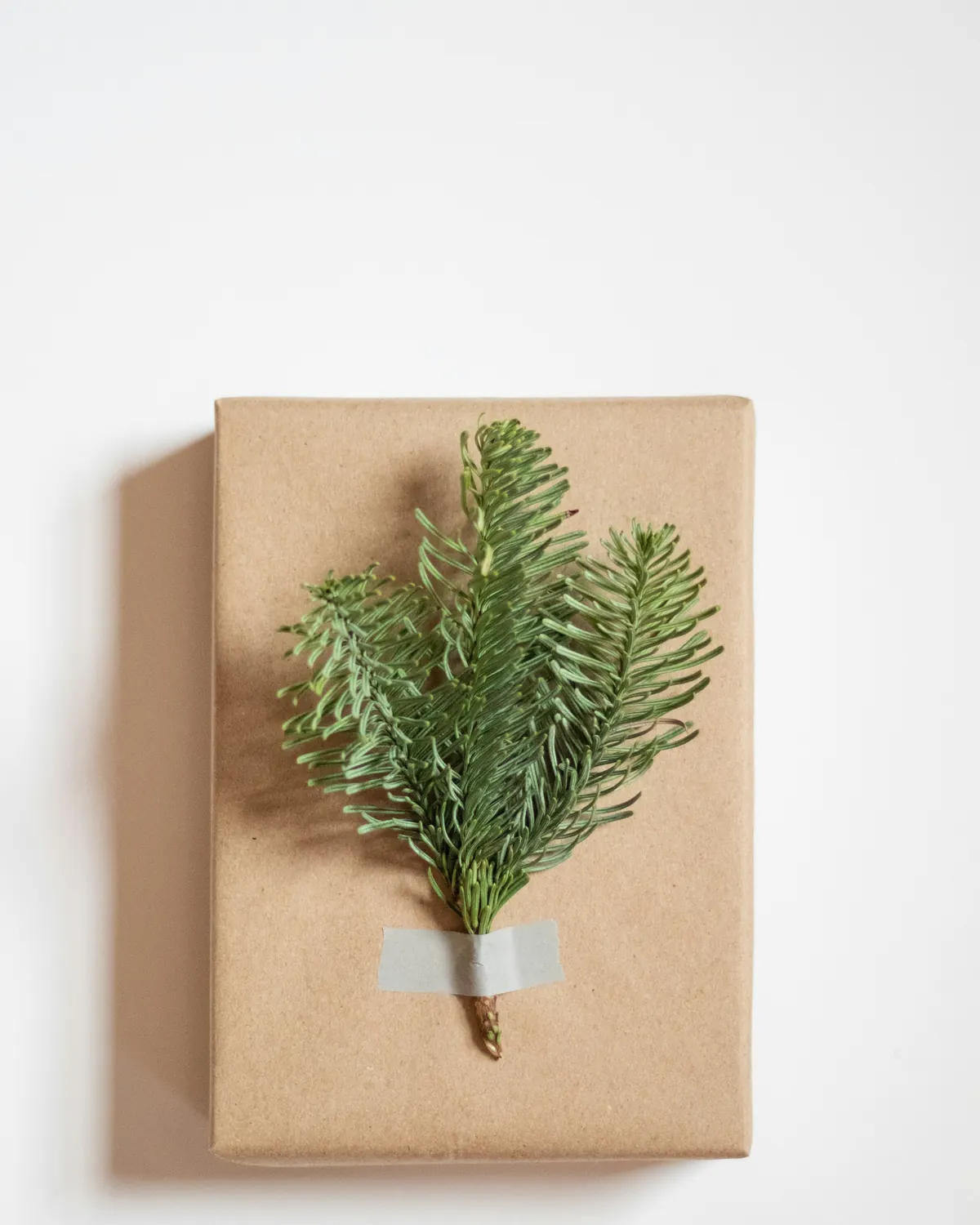 A kraft-paper parcel with a sprig of fir on top